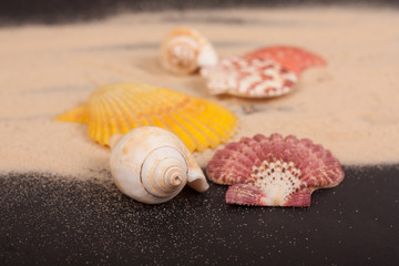 hearts on a black background love passion