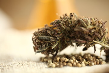 oil cbd hemp seeds marijuana medical cannabis