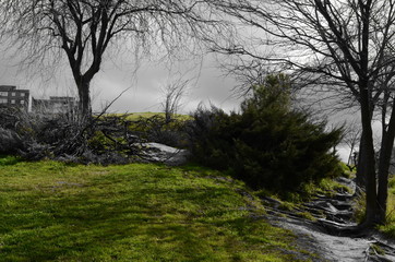 paisaje verde