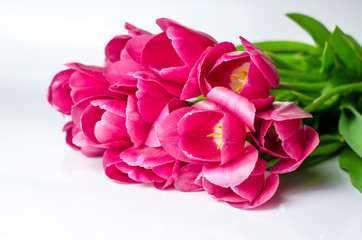 Pink tulip flowers corners isolated on white background