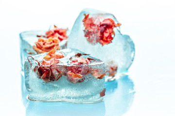Frozen rose in ice cube