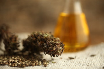 oil cbd hemp seeds marijuana medical cannabis