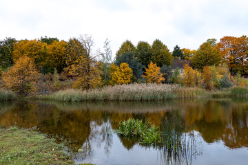 autumn landscape with lake and trees