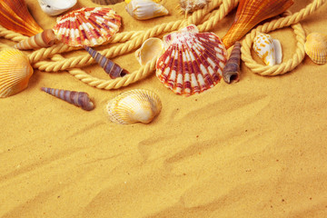 Seashells on sand. Sea summer vacation background