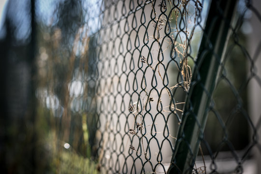chain link fence around restricted area