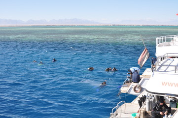 Naklejka premium Hurghada, Egypt - January 1, 2018, several people swimming before the diving, stern of the boat