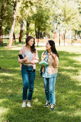 pretty girls holding books and looking at each while talking in park