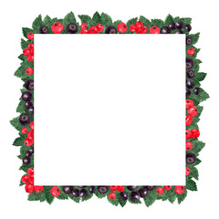 Square frame made of red and black currant berries and leaves, isolated on white, hand drawn botanical illustration. 