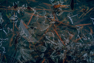 Frosen nature