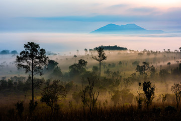 Fototapeta na wymiar Thung Salaeng Luang national park of Thailand, mountain view with sea of fog and forest.
