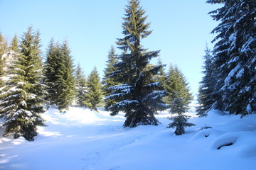 Saddle Medzirozsutce in wintertime, Malá Fatra mountains, Slovakia