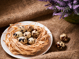 Happy Easter. Congratulations Easter background. Easter quail eggs and flowers