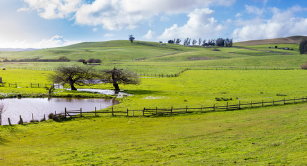 Farmland in the Napa Valley of California.