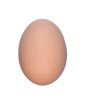 Chicken Egg isolated on white background