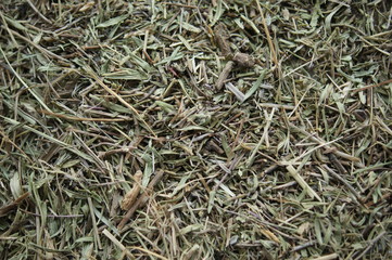 Herbal Tea Thyme. Medicinal herbs. Dry grass texture background