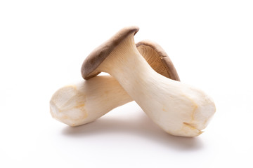 King oyster mushroom on white background.