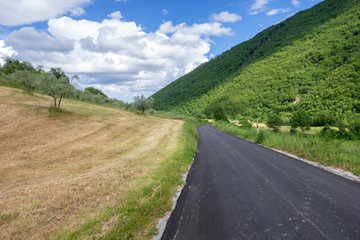 Fototapeta na wymiar small road in rural Marche Italy