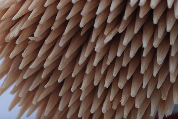 A toothpick in a dozen on a white background