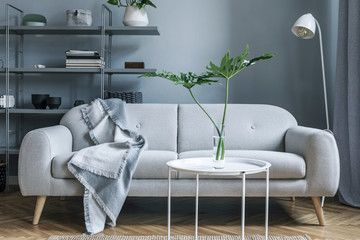 Stylish nordic living room with design sofa with elegant blanket, coffee table,white lamp, tropical leafs and bookstand on the grey wall. Brown wooden parquet. Concept of minimalistic interior.