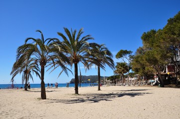 Paguera auf Mallorca