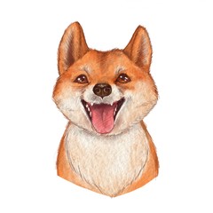 Cute dog sketch isolated on white background. Watercolor illustration.