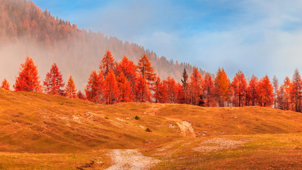 Autumn foliage the valley under the peaks of Julian Alps, Udine province, Friuli Venezia-Giulia region, Italy