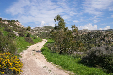 Fototapeta na wymiar Petra-tou-Romiou nature trail, circular hiking trail- Cyprus (birthplace of Aphrodite)