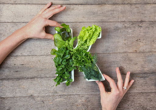 Vitamin K in food concept. Woman's hands holding plate in the shape of the letter K with different fresh leafy green vegetables, herbs,  lettuce on wooden background. Flat lay or top view