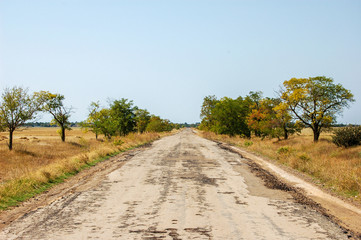 Old ruined road to the steppe. Auto road in Savannah.