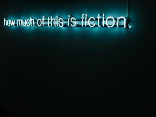 how much of this is fiction neon letter installation