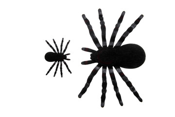 Toy Halloween Spiders