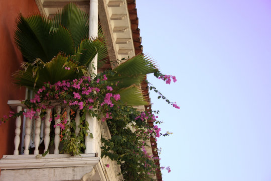 techo balc&oacute;n flores plantas hojas color azul cielo decoraci&oacute;n arquitectura jard&iacute;n exterior viajes naturaleza    