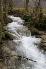Wasser fließt über Felsen im Brühlbach in Bad Urach 
