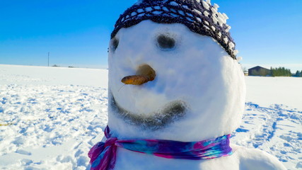 9067_The_snowman_with_long_nose_and_bonnet.jpg