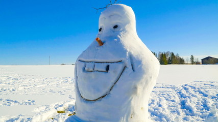 9082_The_snowman_that_looks_like_Olaf.jpg