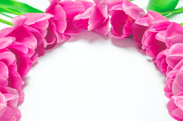 Spring flowers-pink tulips with green stalks lie on a white background. closeup