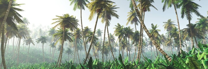 Fototapeta premium palm jungle in the fog, forest in the morning mist of palm trees in the fog