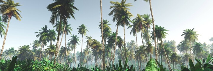 Fototapeta premium palm jungle in the fog, forest in the morning mist of palm trees in the fog