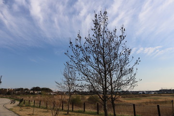 日本の小さな町の青い空と白い雲の風景