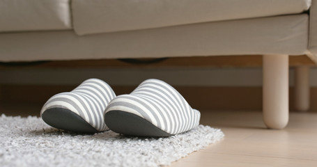 Obraz na płótnie Canvas Pair of fleece slippers at home