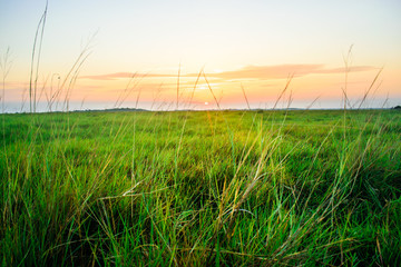 Amanecer llanero