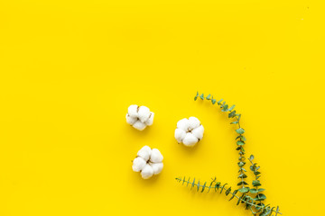 Natural flowers composition with eucalyptus branches and cotton on yellow background top view, flat...