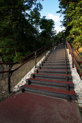 Fototapeta premium stairs to the forest