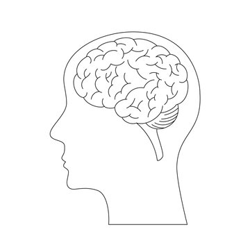Brain vector icon isolated on a white background.