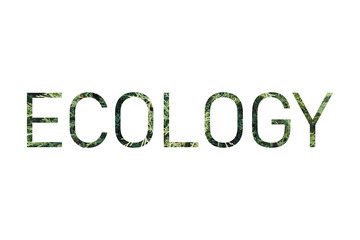 Inscription "Ecology" on the background of a living green plant. The concept of ecology. Natural background. Spring background