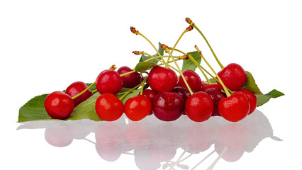 Pile of fresh and wet red cherries with leaves isolated on white background. Gardening and harvest concept.