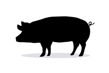Pork shadow on a white backdrop. Silhouette pig on white background.