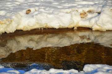  Reflection of trees in the water. Snow Coast. A close-up.