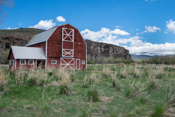 Red Barn