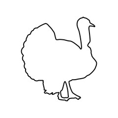 Turkey icon. Farm animal sign